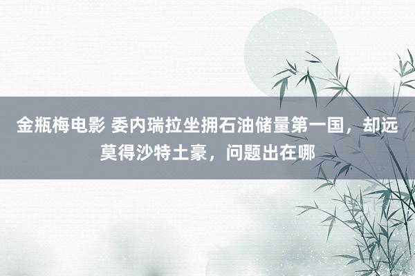 金瓶梅电影 委内瑞拉坐拥石油储量第一国，却远莫得沙特土豪，问题出在哪