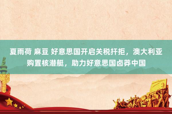 夏雨荷 麻豆 好意思国开启关税扞拒，澳大利亚购置核潜艇，助力好意思国卤莽中国