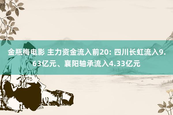 金瓶梅电影 主力资金流入前20: 四川长虹流入9.63亿元、襄阳轴承流入4.33亿元