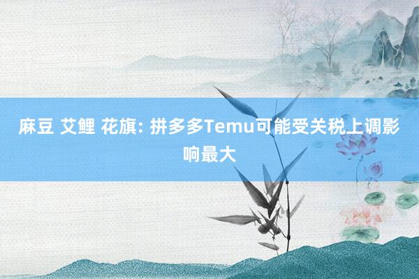 麻豆 艾鲤 花旗: 拼多多Temu可能受关税上调影响最大