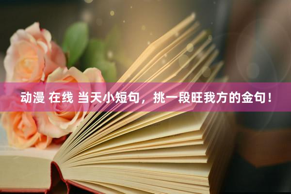 动漫 在线 当天小短句，挑一段旺我方的金句！