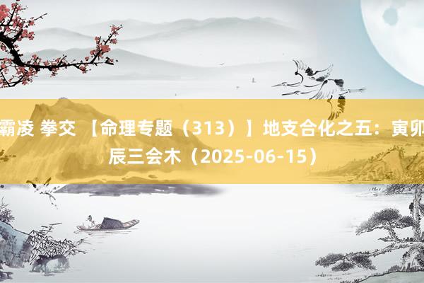 霸凌 拳交 【命理专题（313）】地支合化之五：寅卯辰三会木（2025-06-15）